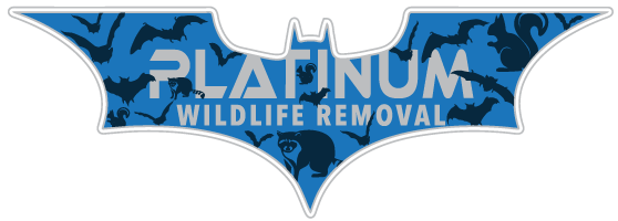 Wildlife Control Madison County
